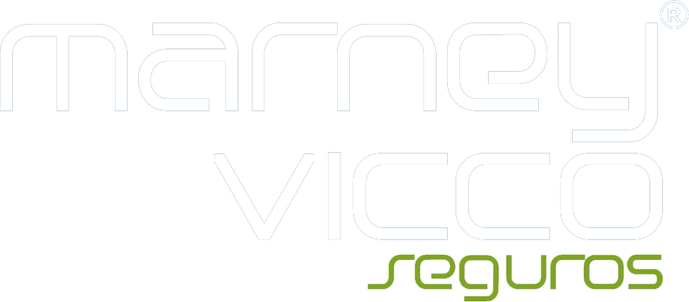 Vicco Seguros